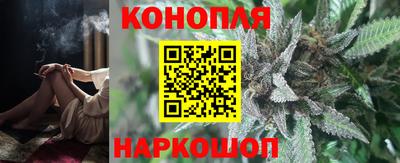 сатива Гусев