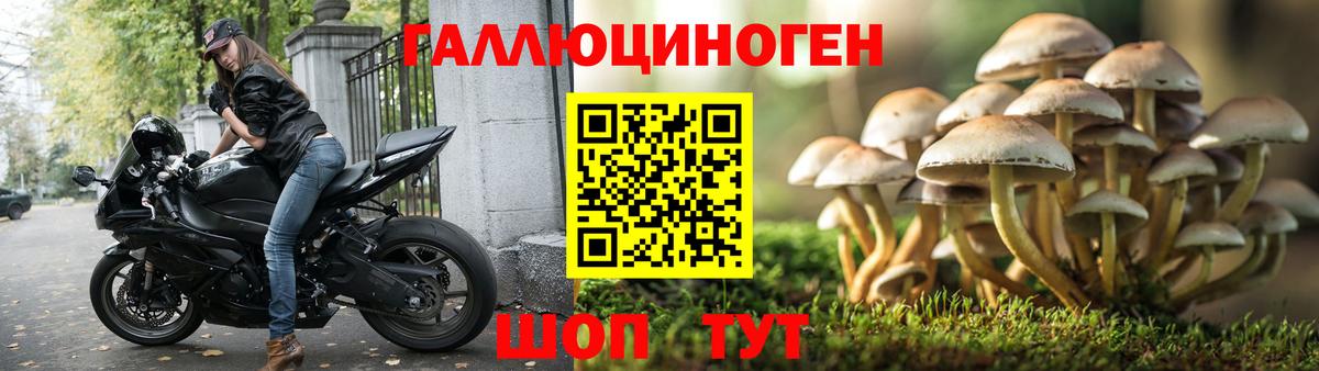 Псилоцибиновые грибы мухоморы Моздок